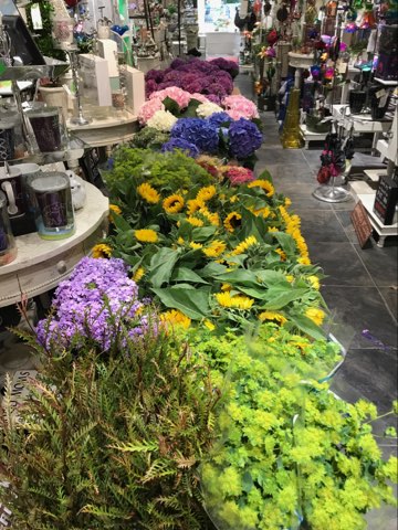 Flowers Just arrived in the store